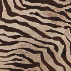 July Silk Gown | Zebra